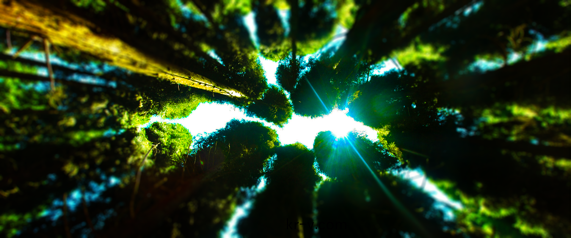 貴(gui)州(zhou)甘(gan)力(li)木(mu)業(ye)