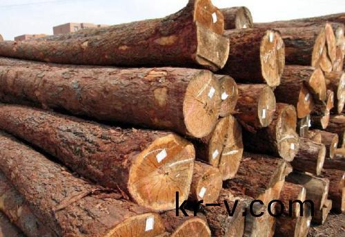 了(le)解(jie)細(xi)節(jie)了解(jie)定(ding)製(zhi)衣櫃用(yong)什(shen)麼(me)闆(ban)材(cai)好